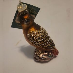 Old World Christmas Red-tailed Hawk